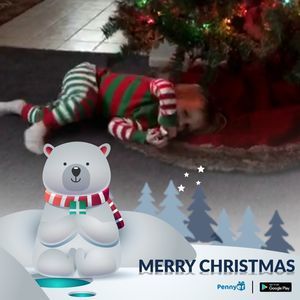 Meet your Posher, Lynn